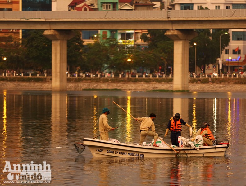 Hà Nội: Lại xuất hiện cá chết ở hồ Hoàng Cầu 